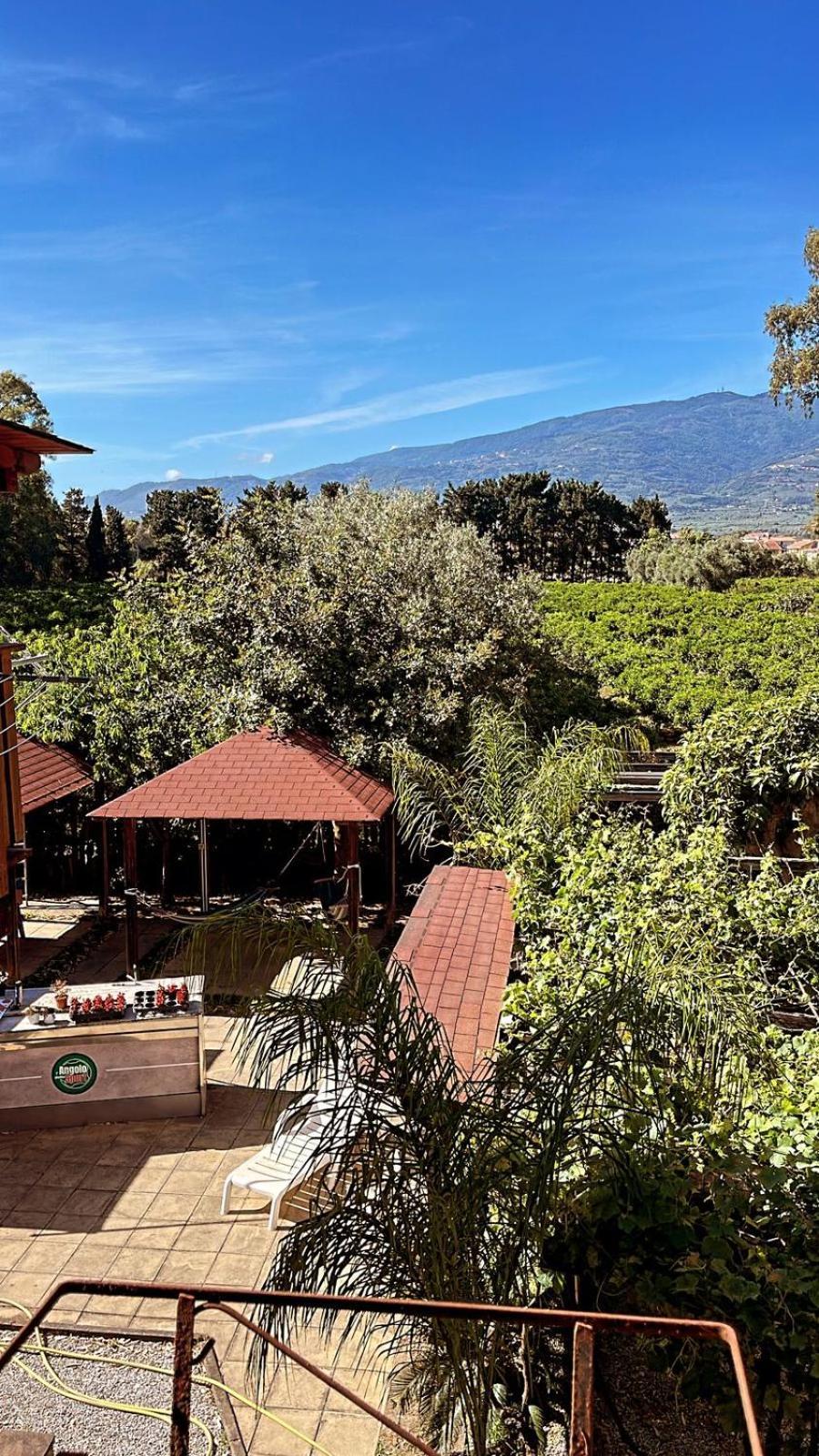 B&B Pineta Mare Ламеция-Терме Экстерьер фото
